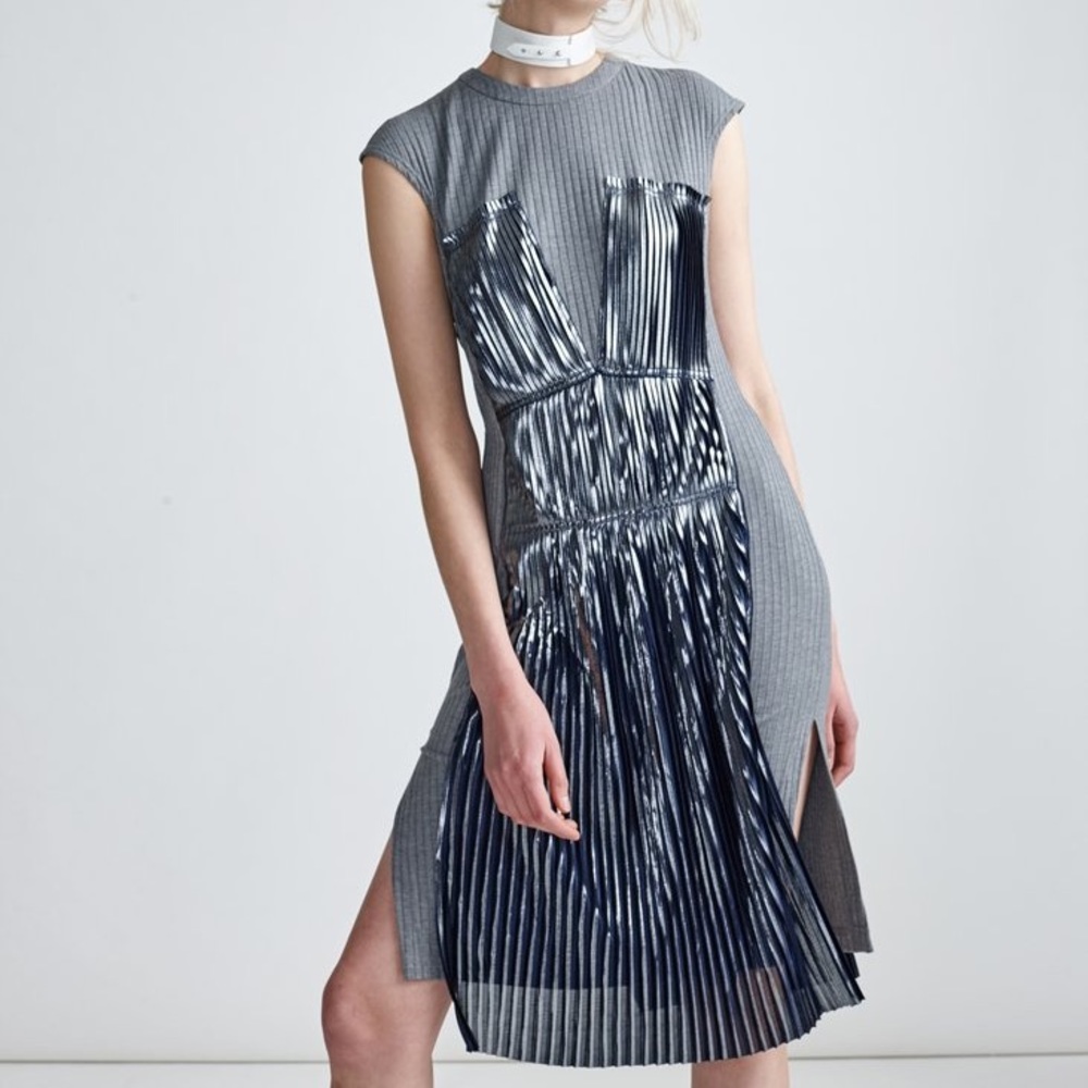 Echtego Dress NWT